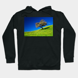 Single tree on a grassfield Hoodie